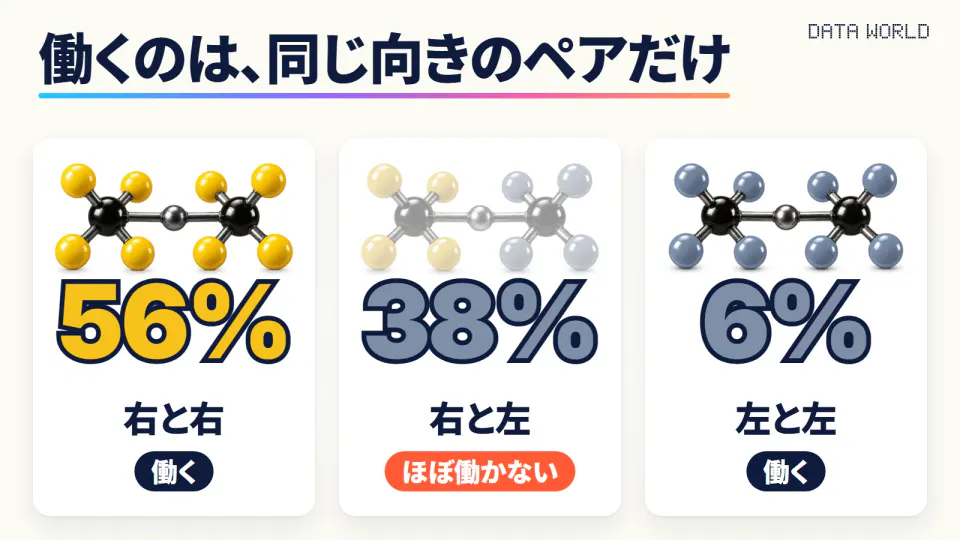 明るいクリーム色の背景に、3枚のカード。左は黄色の分子2つの組で「56%」「右と右」「働く」、真ん中は黄色と灰色の分子が色あせた組で「38%」「右と左」「ほぼ働かない」、右は灰色の分子2つの組で「6%」「左と左」「働く」。上に大きく「働くのは、同じ向きのペアだけ」