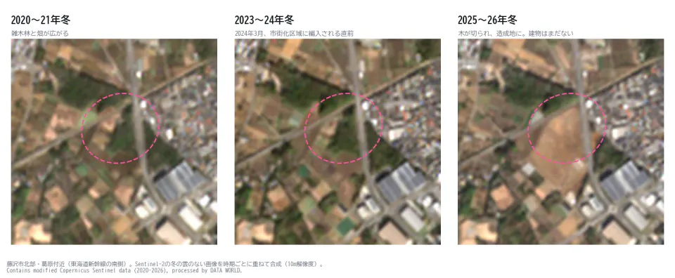 藤沢市北部の葛原付近を、3つの時期の衛星写真で並べた図。2020〜21年冬と2023〜24年冬には東海道新幹線の南側に雑木林があり、2025〜26年冬には木が切られて造成地になっている