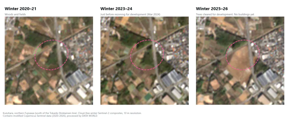 Satellite images of the Kuzuhara area in northern Fujisawa from three periods, side by side. In winter 2020–21 and winter 2023–24, woodland sits south of the Tokaido Shinkansen line. By winter 2025–26, the trees have been cleared and the land graded for development